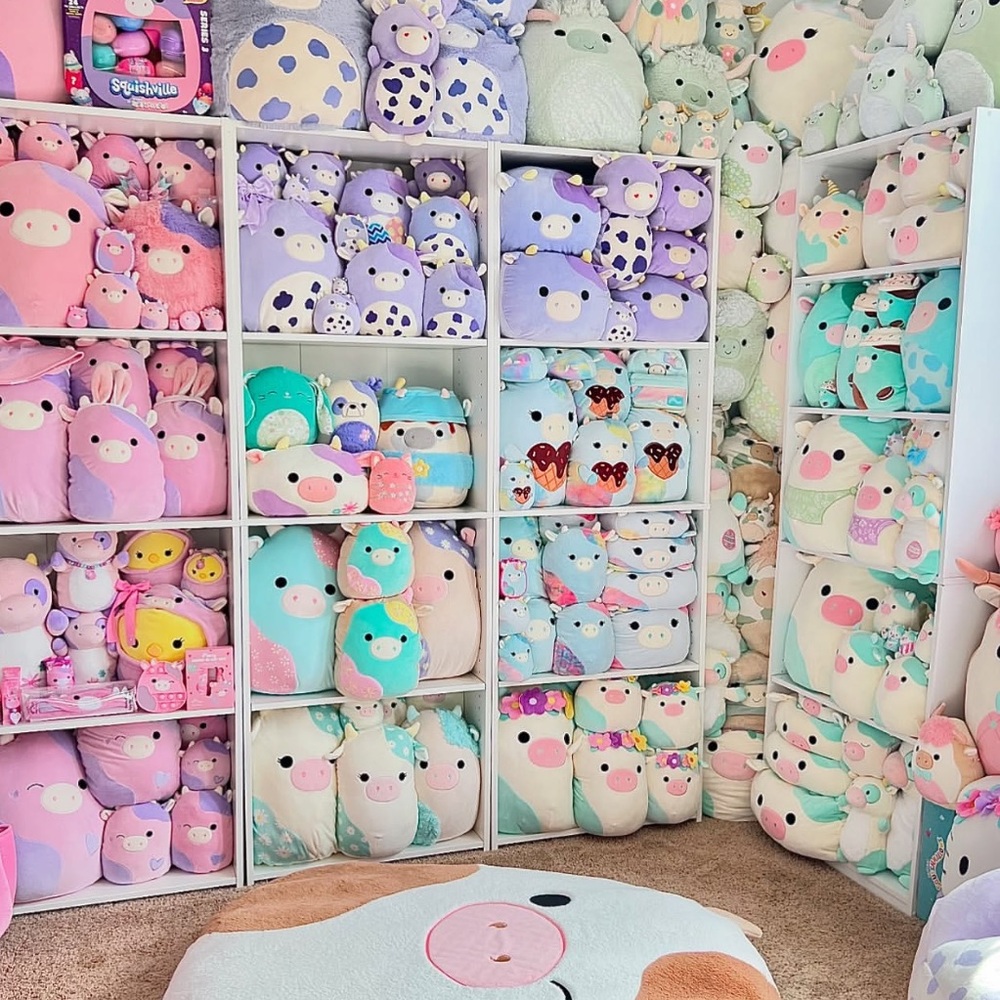 💐Unlisted Squishmallow💐